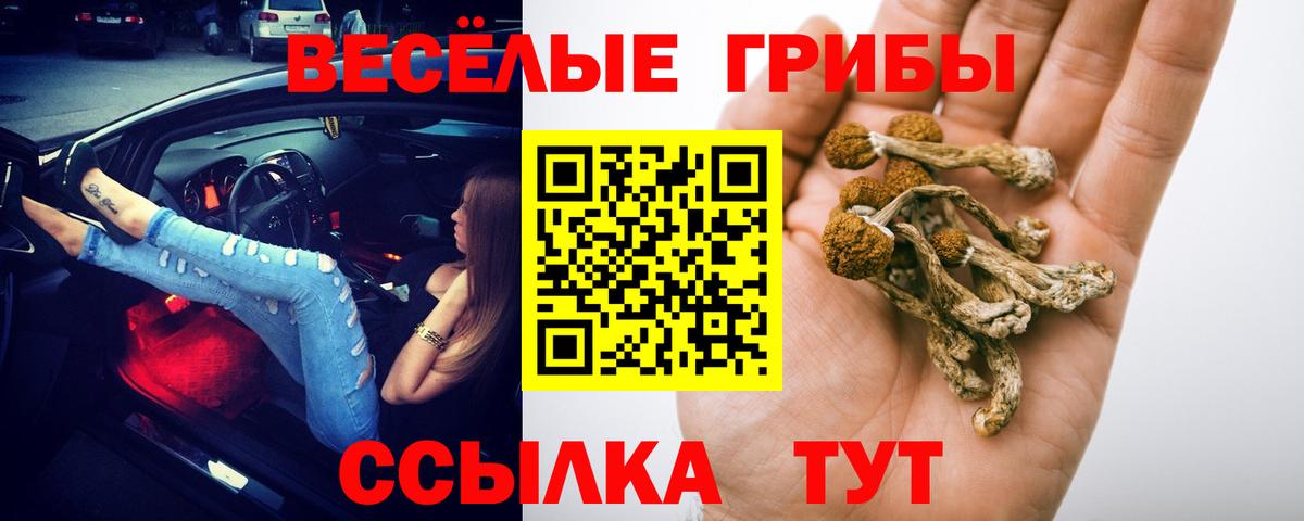 Галлюциногенные грибы GOLDEN TEACHER Димитровград